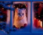 Кошка глядя в окно на Рождество